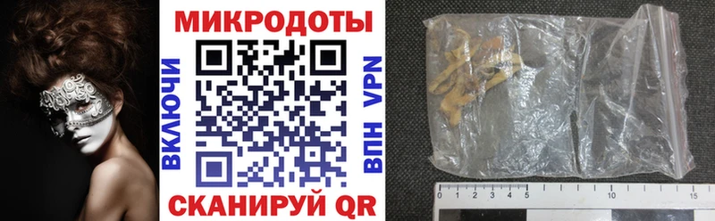 Псилоцибиновые грибы Psilocybe Коряжма